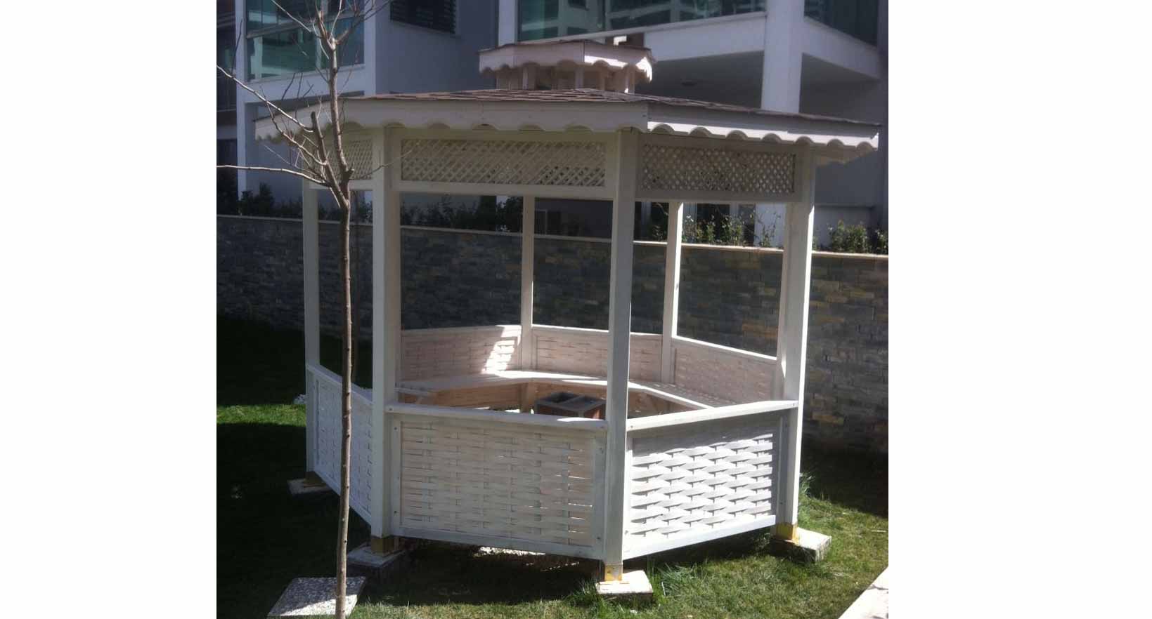 Kamelya örneği KA05